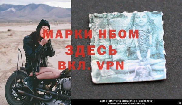 стаф Волоколамск