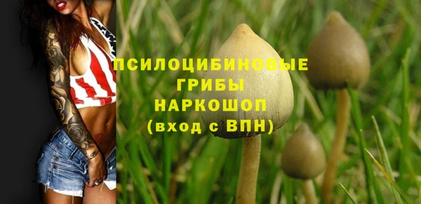 стаф Волоколамск