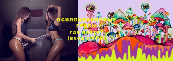стаф Волоколамск