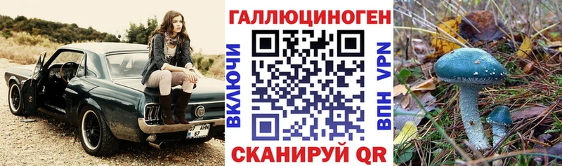 Псилоцибиновые грибы ЛСД  кракен ссылки  Лысково  как найти  